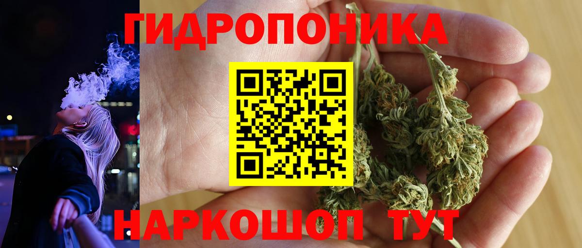 Каменка  Канабис гибрид  Шишки марихуана Bruce Banner  Вход с VPN 